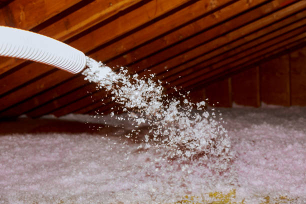 Best Geographic-Specific Insulation Services in Lugoff, SC