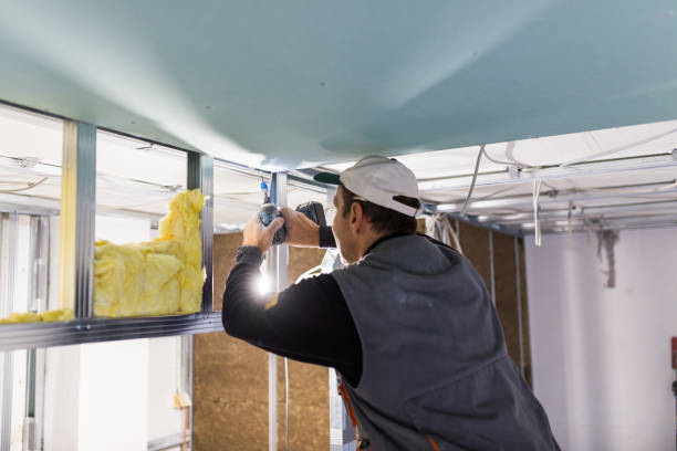 Types of Insulation We Offer in Lugoff, SC