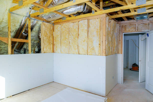 Best Cellulose Insulation in Lugoff, SC