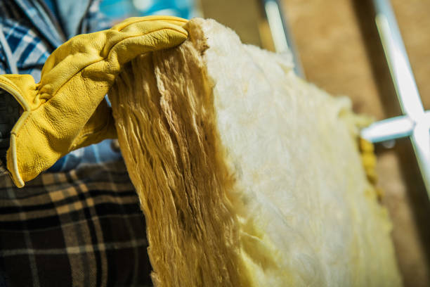 Best Specialized Insulation Services in Lugoff, SC