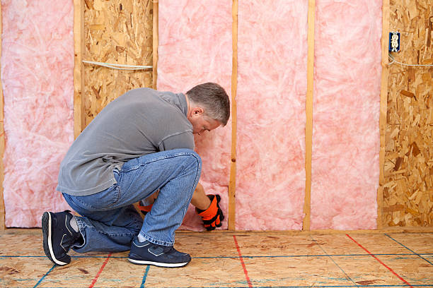 Best Eco-Friendly Insulation in Lugoff, SC