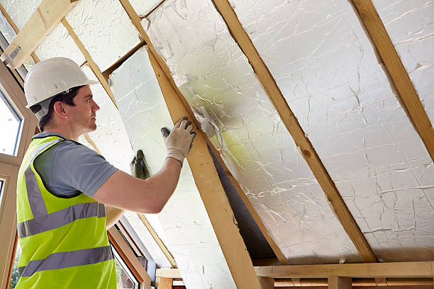 Best Residential Insulation in Lugoff, SC